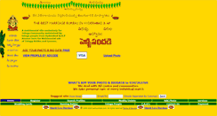 Desktop Screenshot of pellisandadi.com